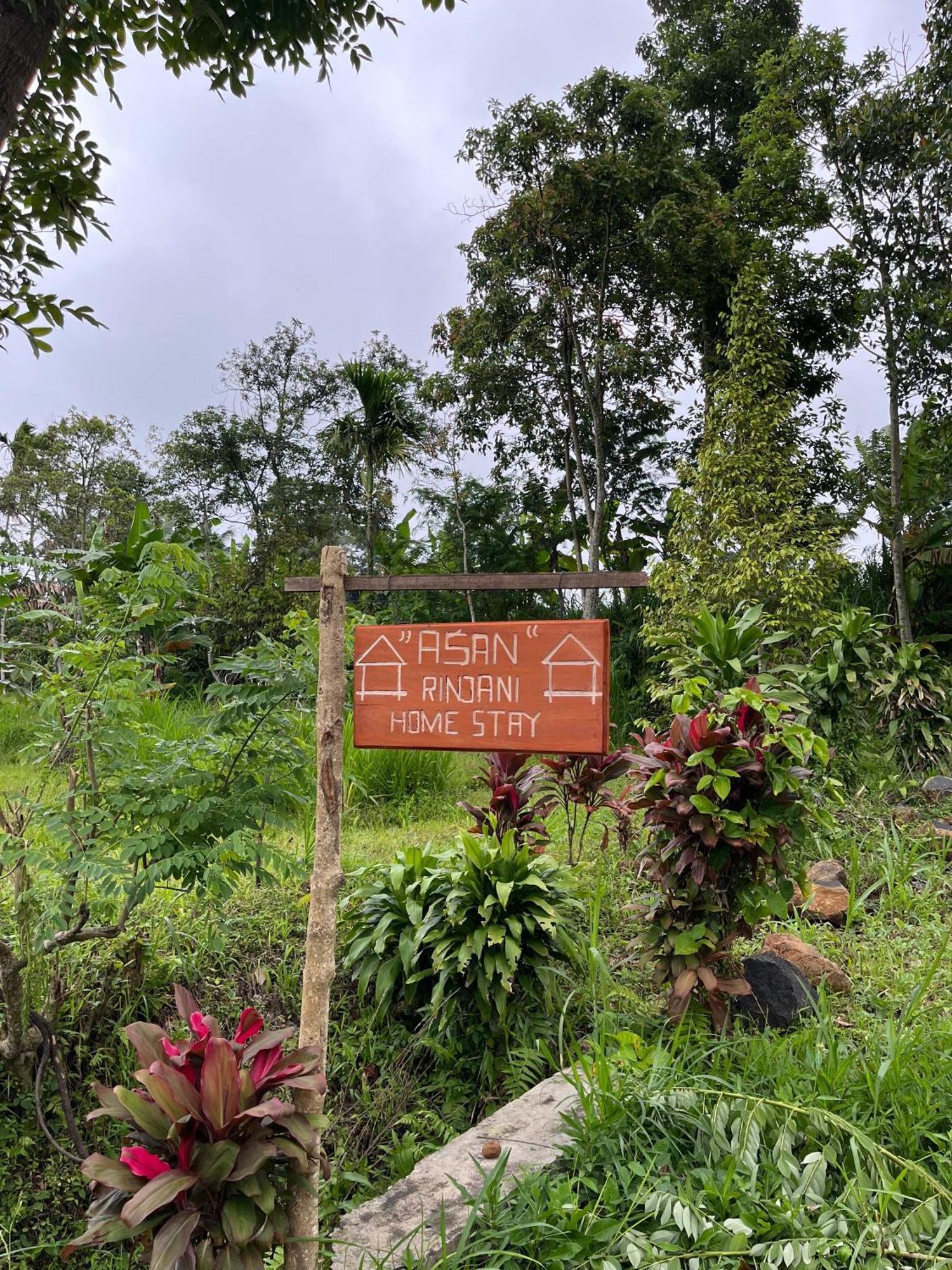 Asan Rinjani Homestay Tetebatu Extérieur photo