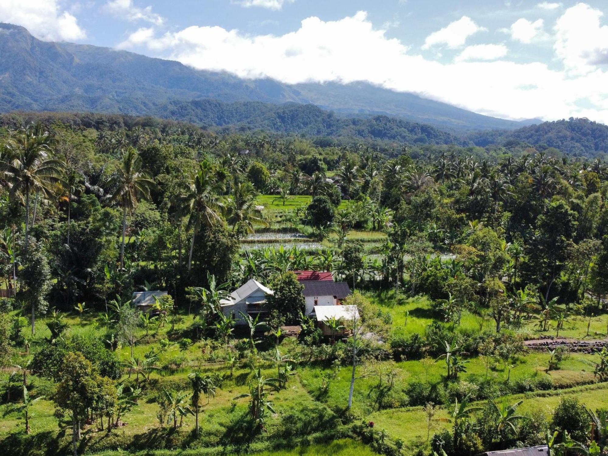 Asan Rinjani Homestay Tetebatu Chambre photo