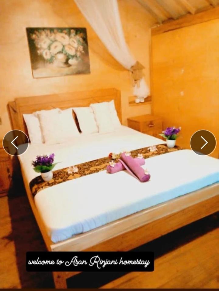 Asan Rinjani Homestay Tetebatu Extérieur photo