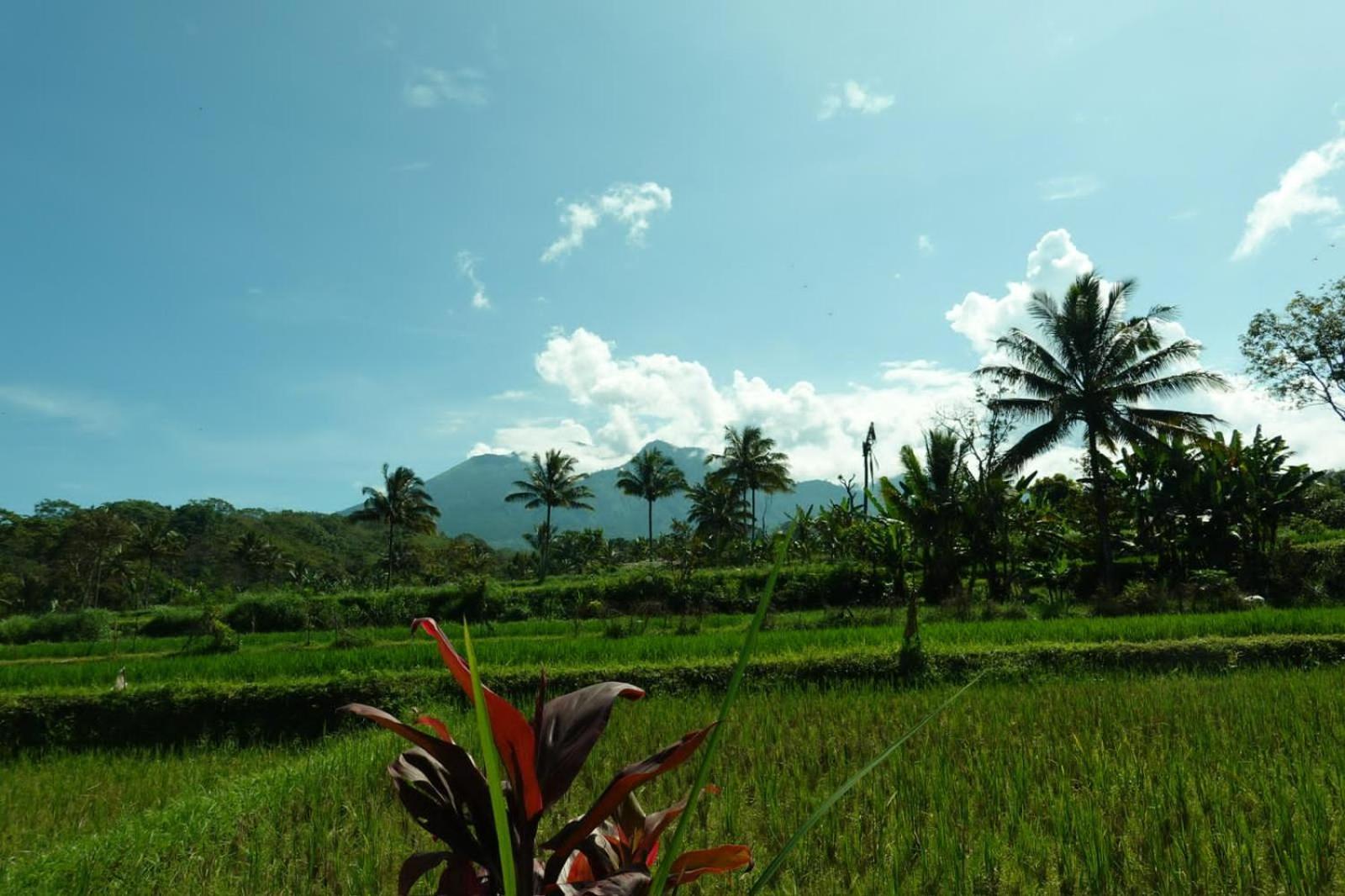Asan Rinjani Homestay Tetebatu Extérieur photo